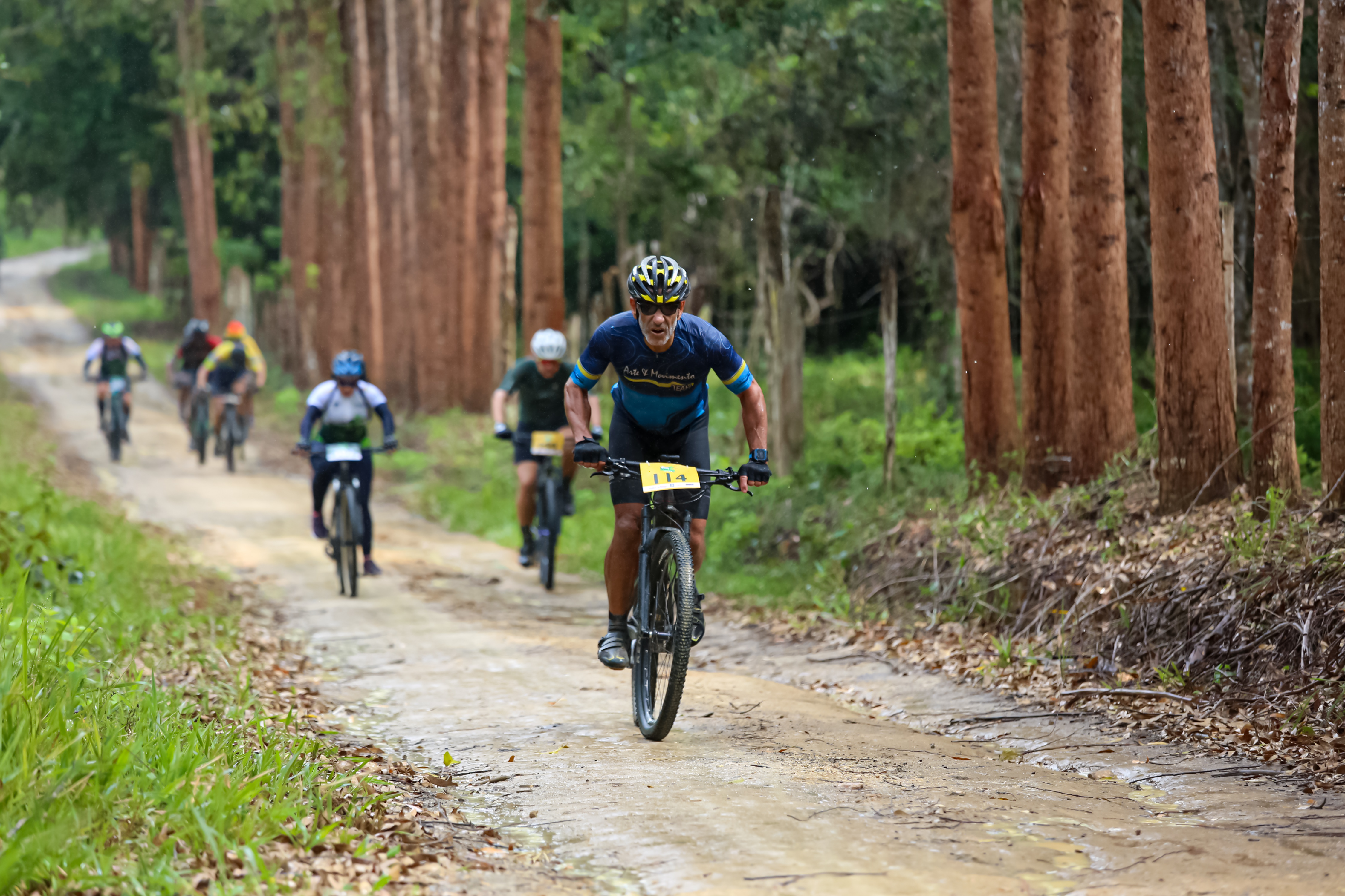 Desafio Verde Vale 2024 