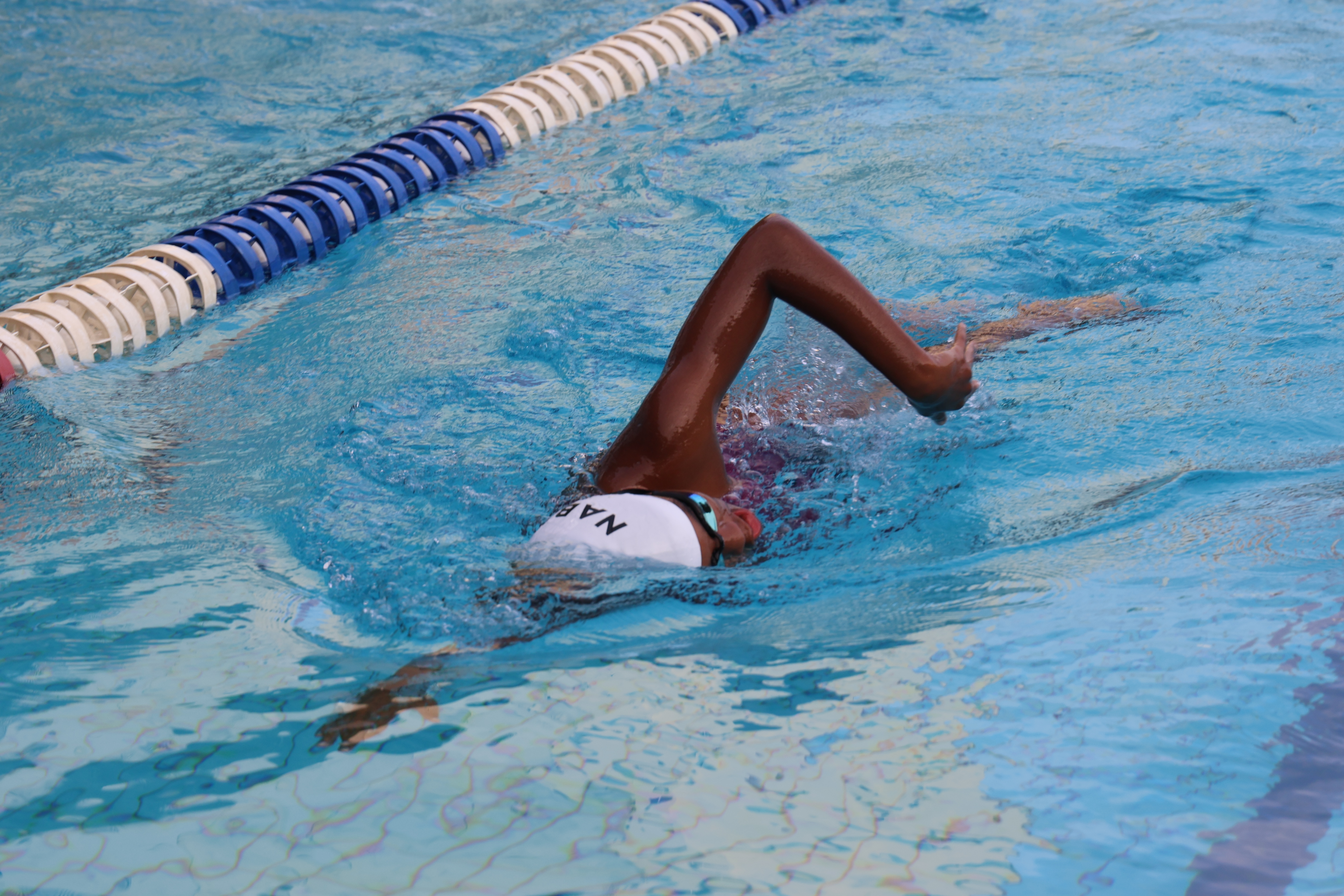 Projeto Natação em Rede -