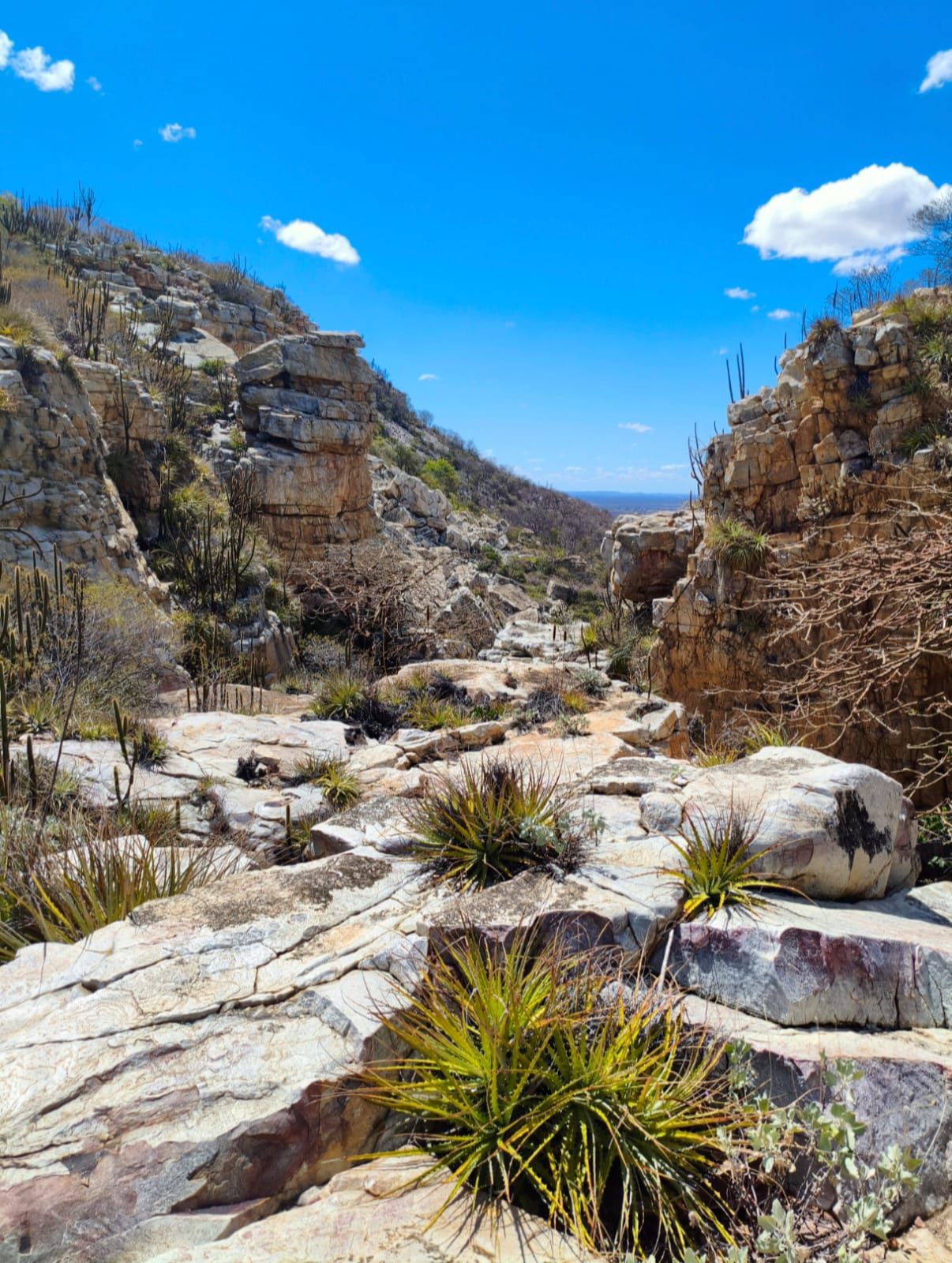 trilha da Corrida de Aventura, em Juazeiro Corrida de Aventura/Trail Run