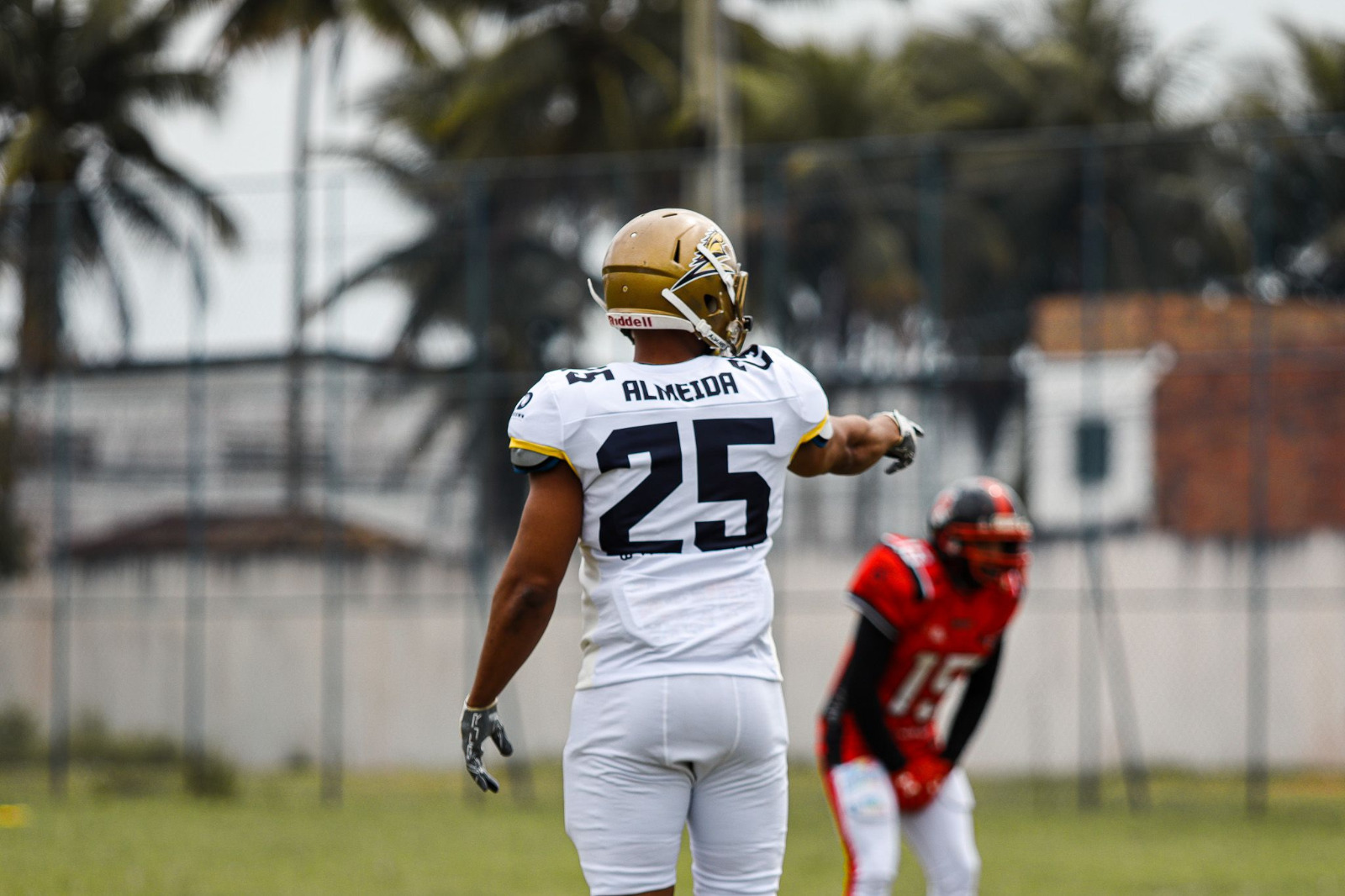 Créditos: Divulgação/Cavalaria 2 de Julho