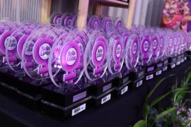 Cerimônia de premiação Selo Lilás