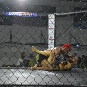 Demofight 