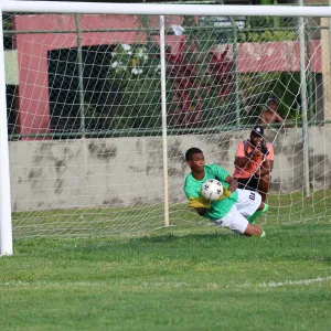 Goleiro defende penalti