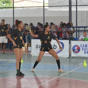Maurício Viana - Ascom Sudesb