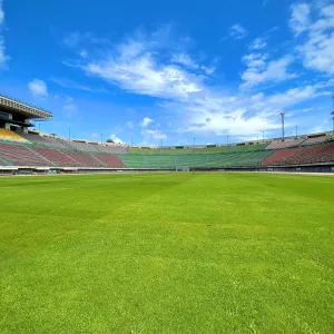 Gramado do Estádio de Pituaçu