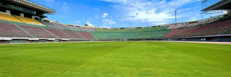 Gramado do Estádio de Pituaçu