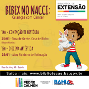 BIBEX_Janeiro02