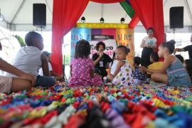 festival-literrio-nacional---flin_49068773783_o