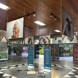 Detalhe da exposição