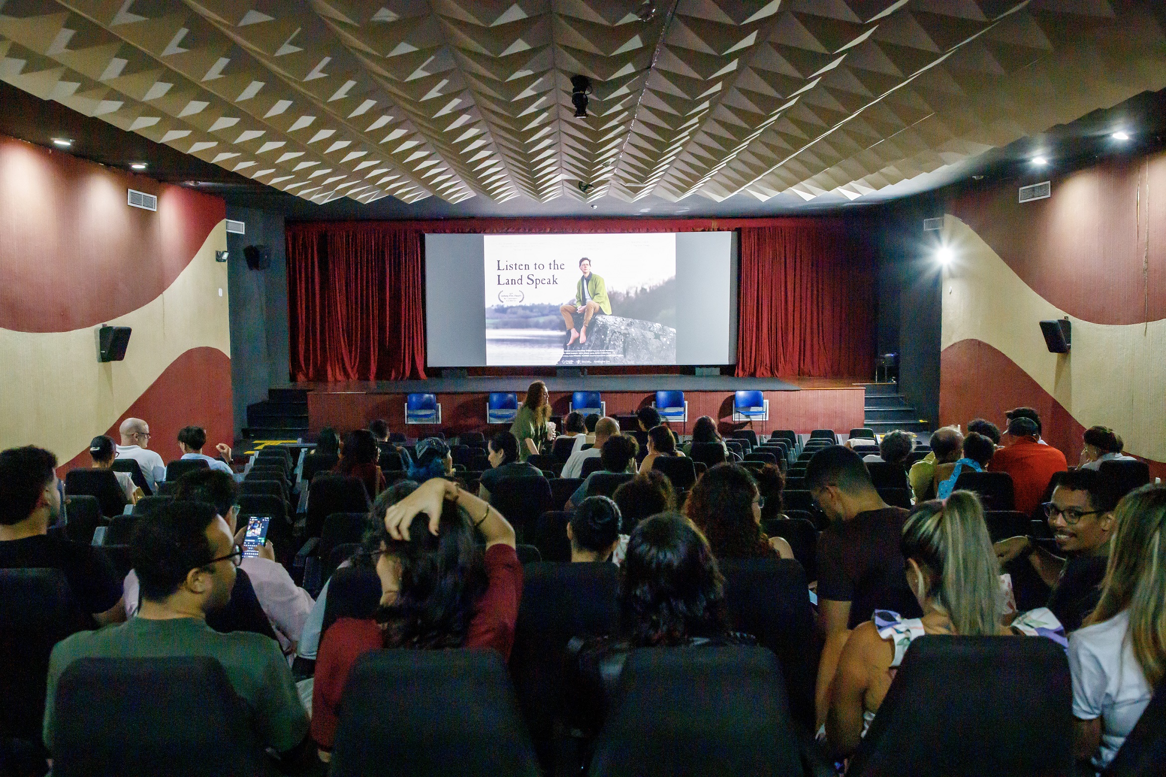 Sessão especial aproxima Bahia e Irlanda por meio do cinema
