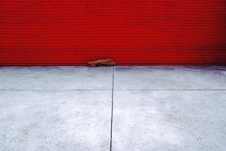 Homogenia, Leandro Costa Braga