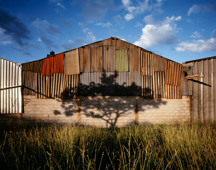 O Jardim, Pedro David