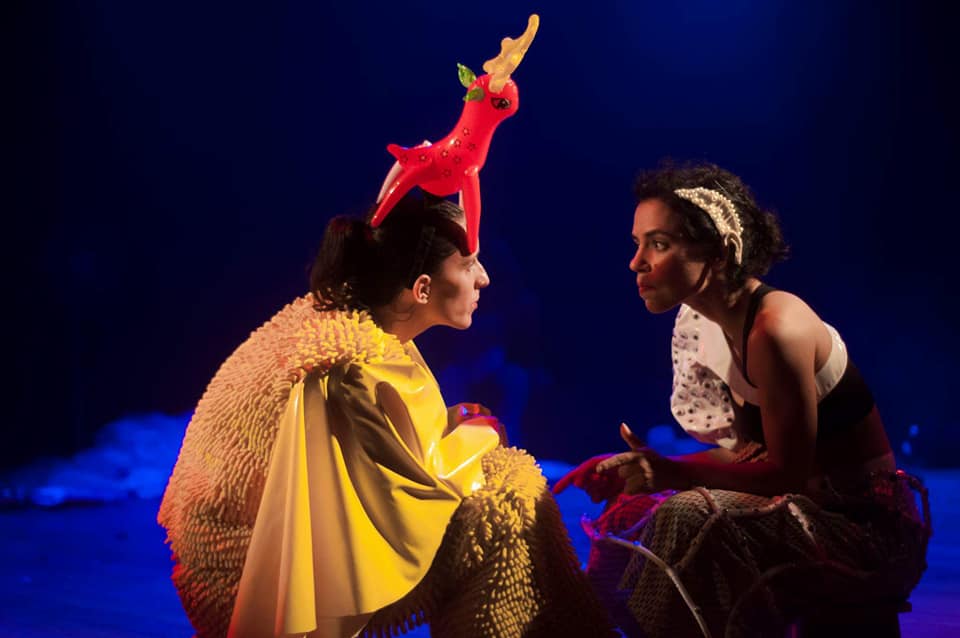 Bonito (Foto: Pequena Sala de Ideias)