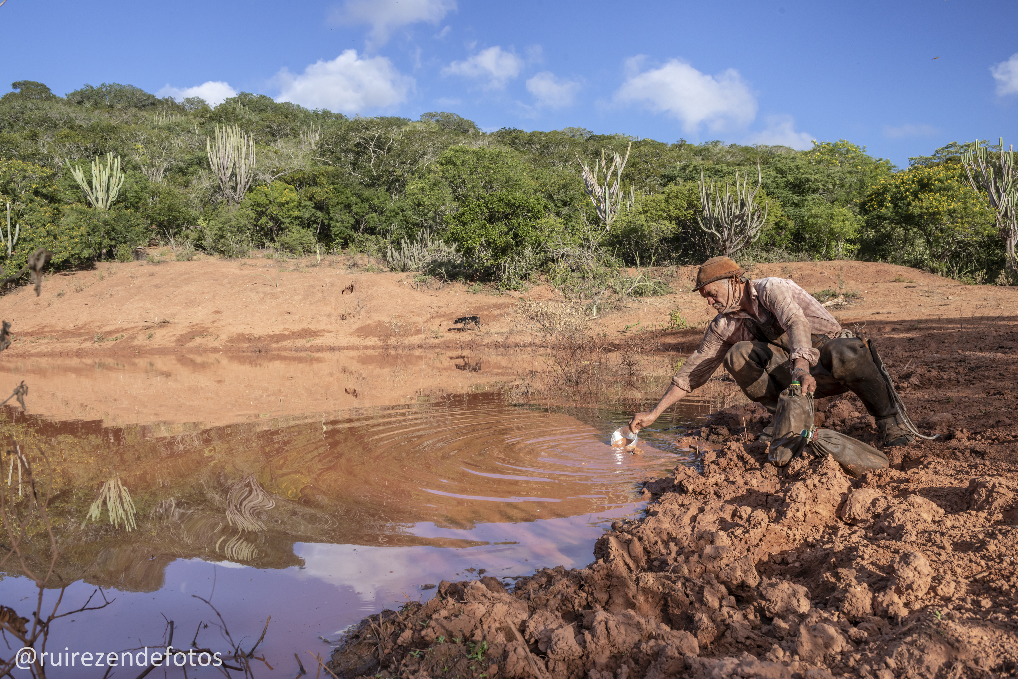 vaqueiro pegando água num brejo