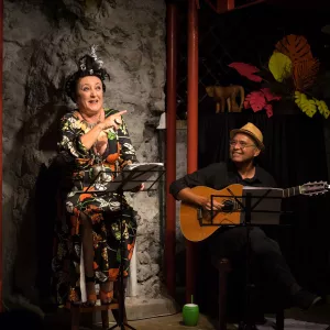 “Viva o Teatro – Palco e Ofício” é lançado com o Festival 60+ abrindo circuito que vai até outubro