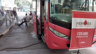 hemovel na lapa  (1).jpeg