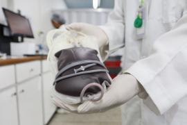 Fotos Leonardo Rattes (18).jpeg