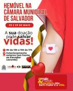 hemovel camara salvador.jpeg