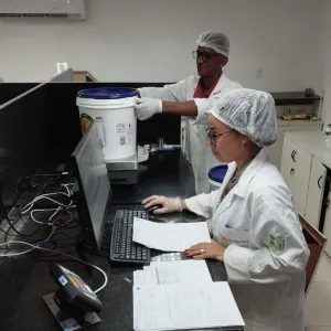 Operação Grandes massas