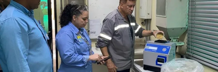 laboratório de grãos