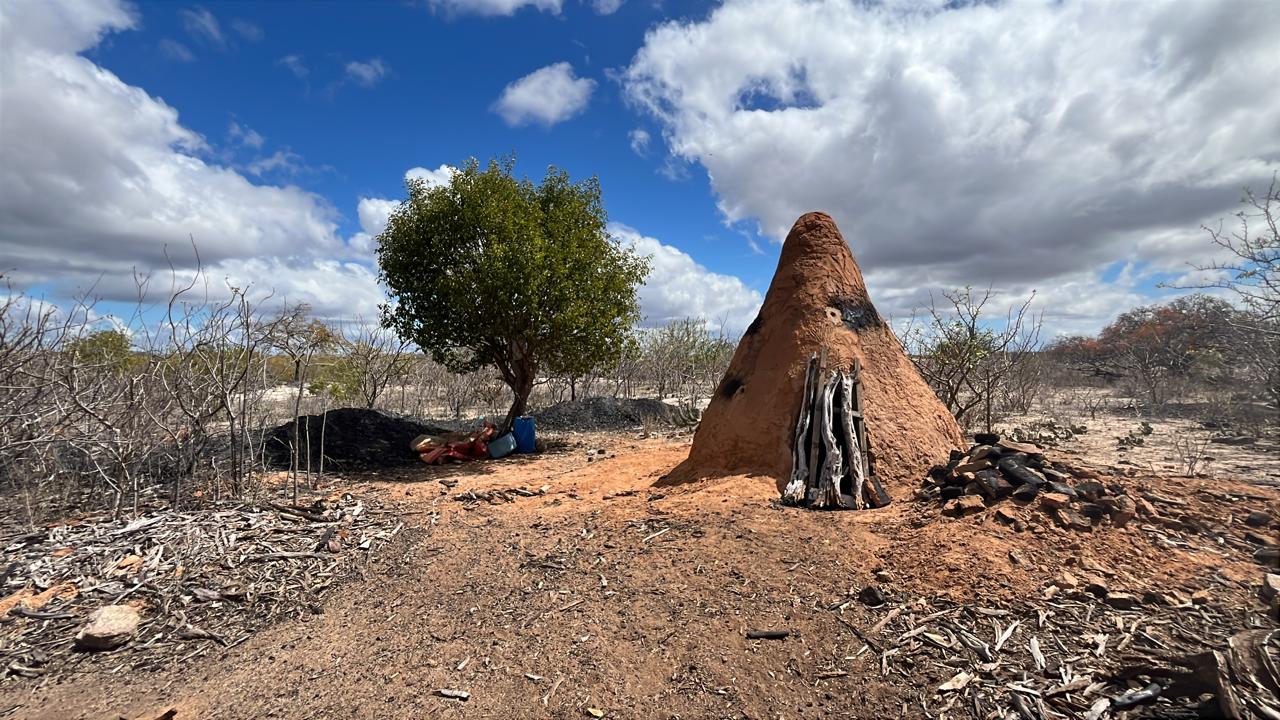 Operação Municipalizada apreende mais de 10,2 toneladas de carvão ilegal e fortalece fiscalização ambiental no Semiárido baiano