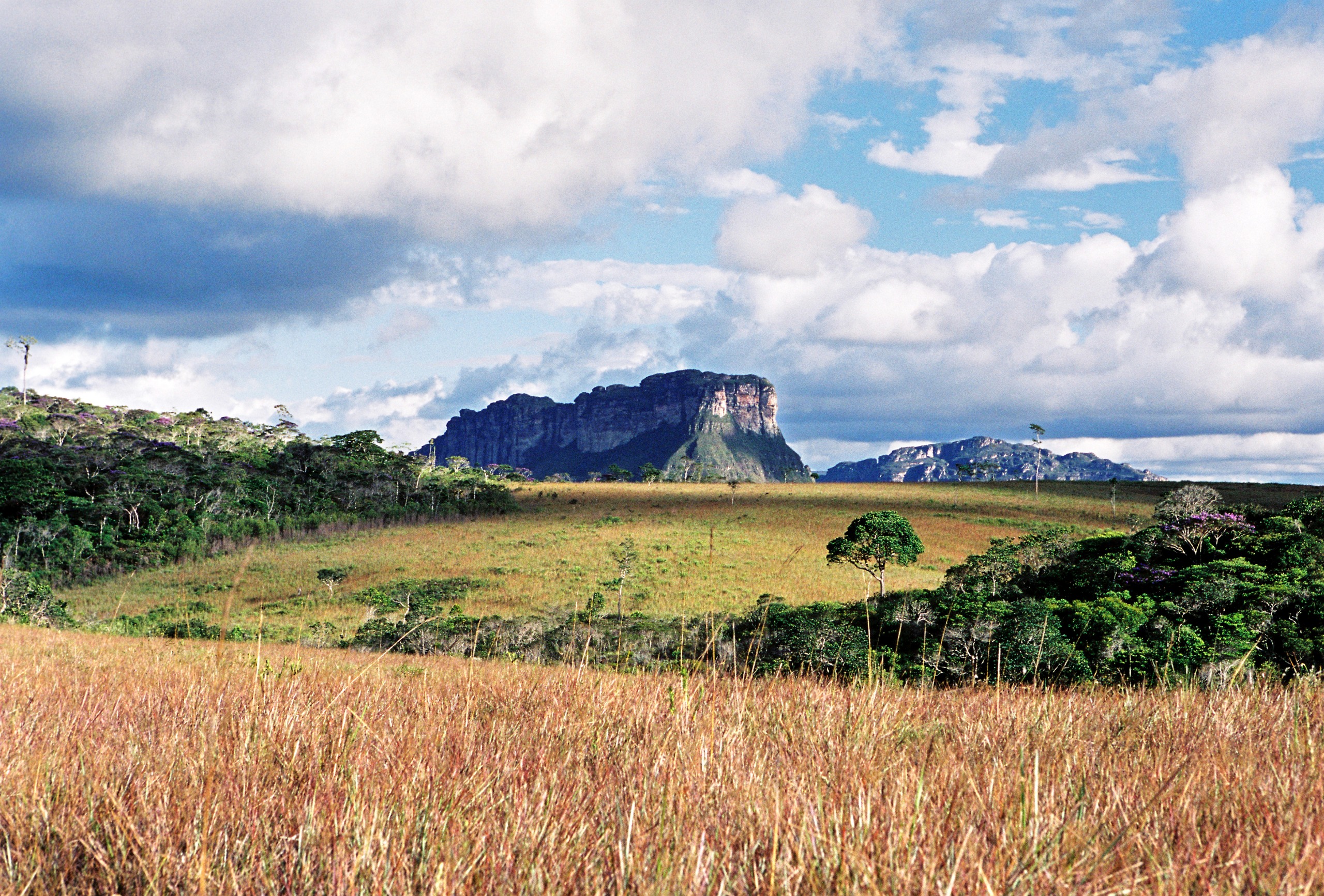 conservação da natureza 