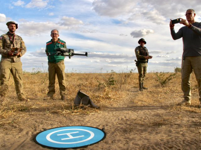 Ações da Sema e do Inema reduzem desmatamento do Cerrado baiano em 7%