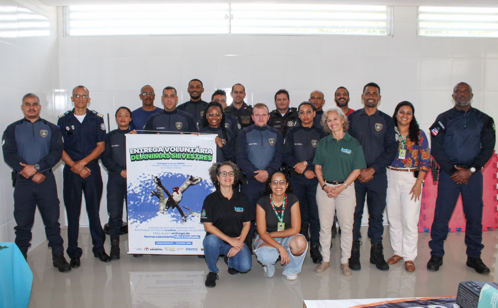 campanha de entrega voluntária