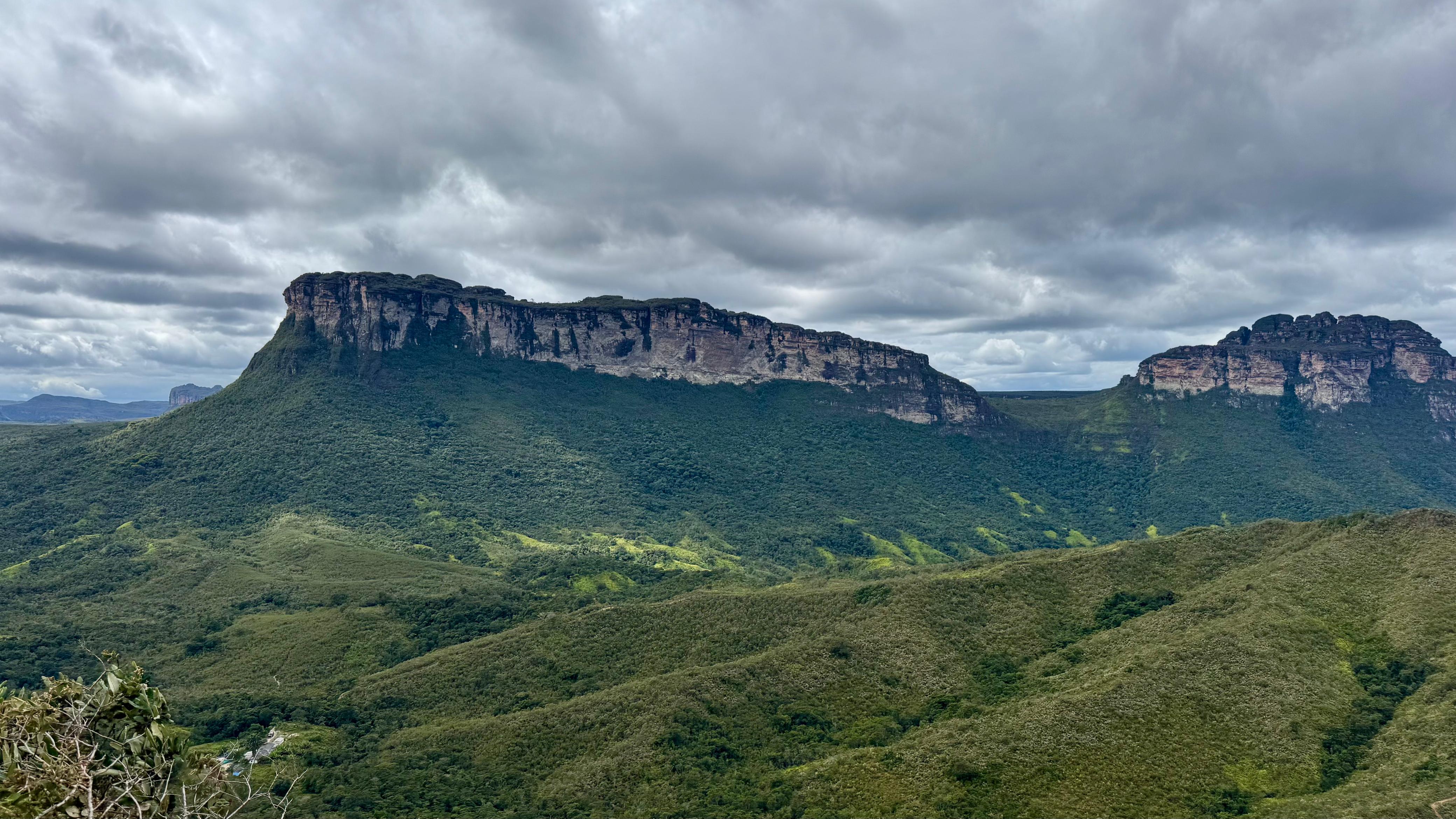 Dia Mundial dos Animais e da Natureza reforça importância da preservação ambiental