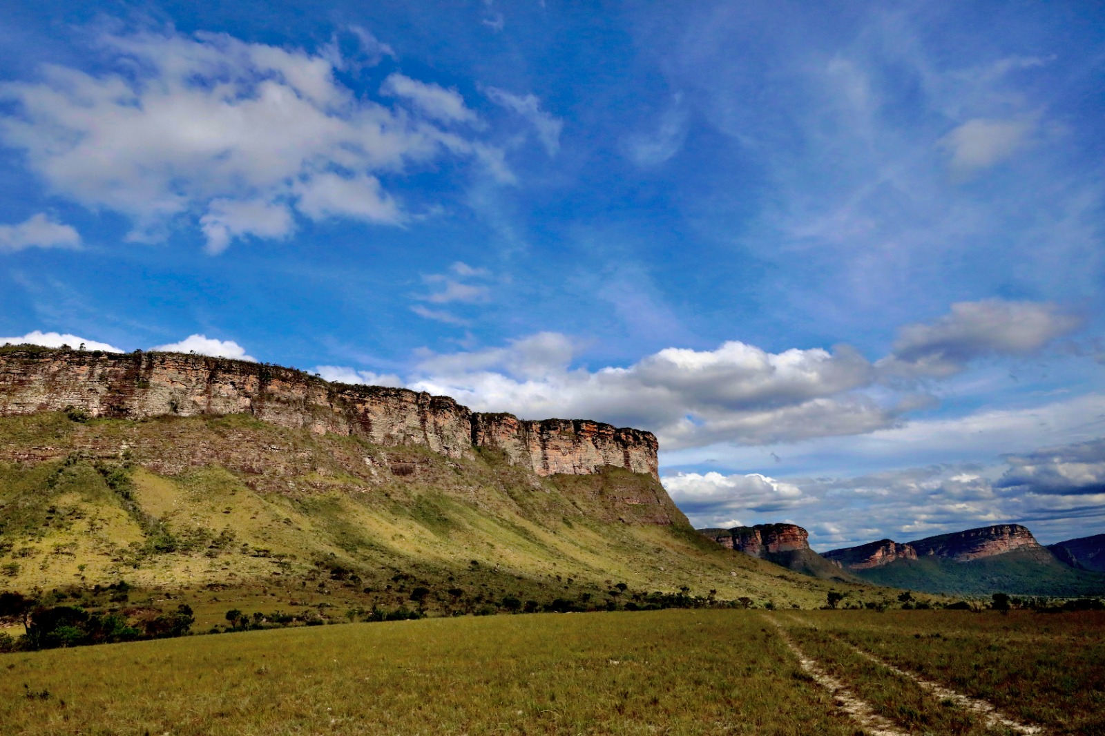 Sema e Inema participam de reunião do CERBMA/BA para recondução dos membros no biênio 2025-2027