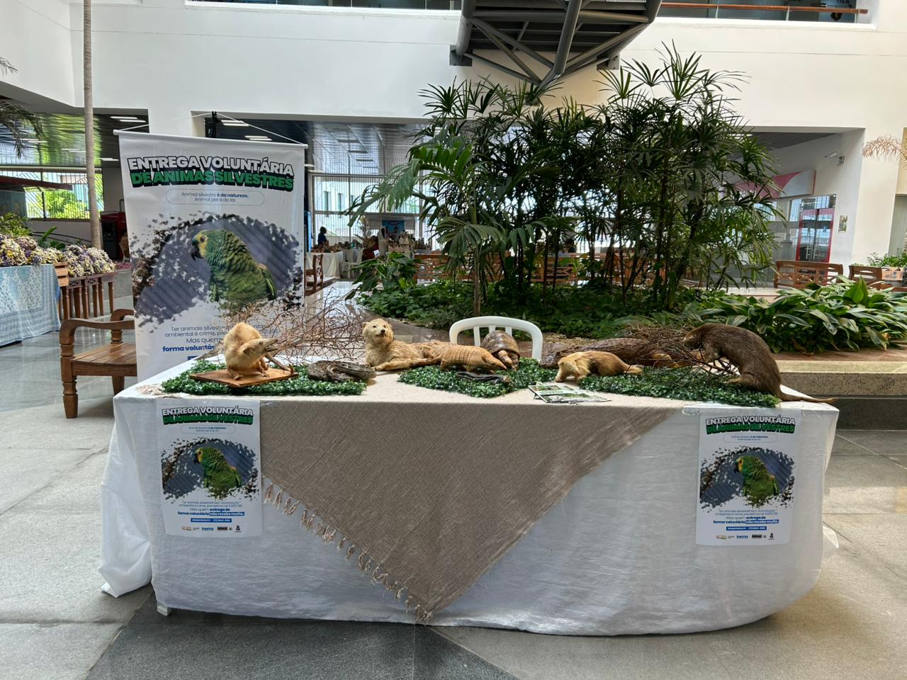 Campanha de entrega voluntária