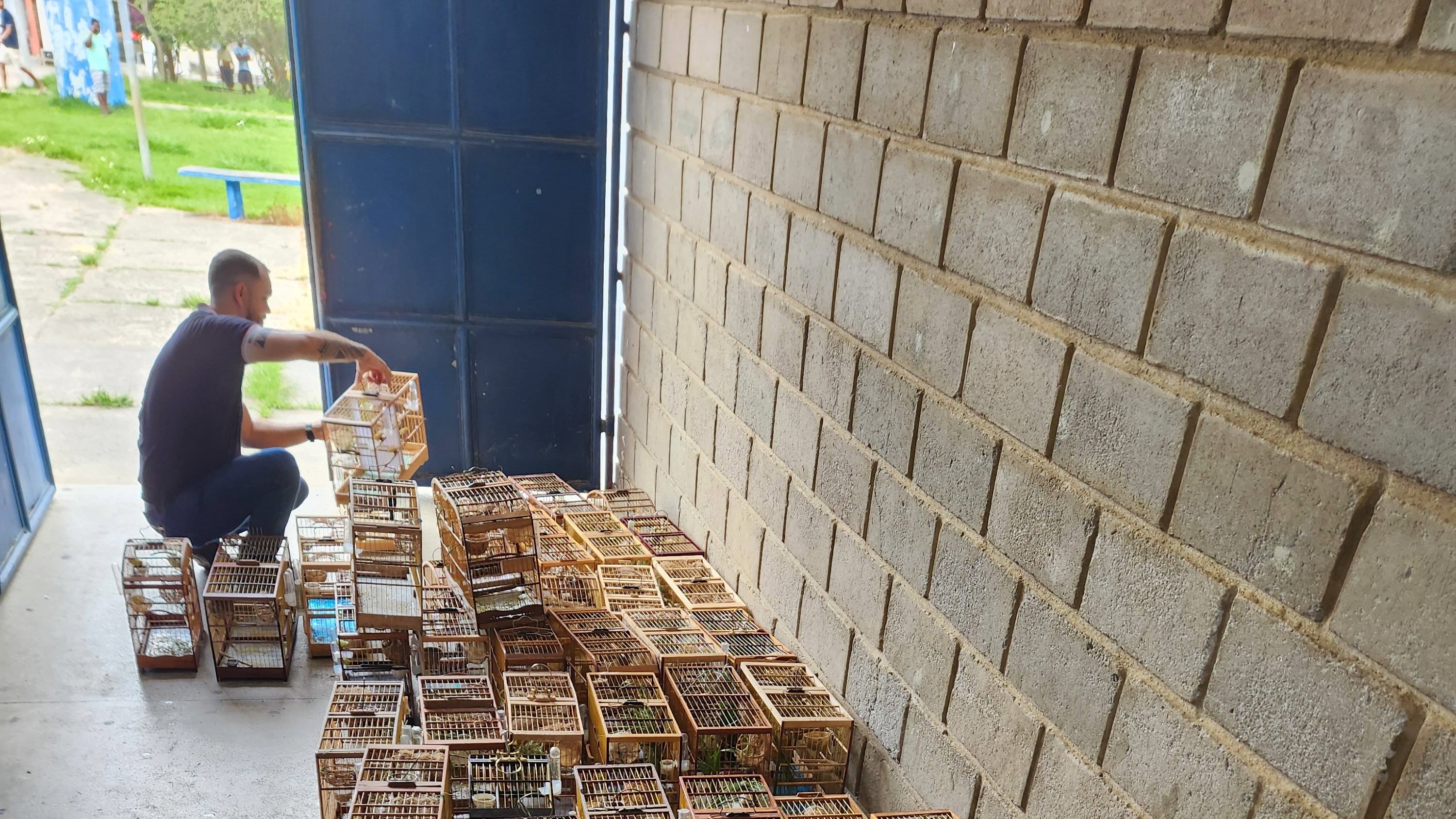 Inema e PM interrompem evento ilegal de canto de pássaros e resgatam mais de 100 aves silvestres no Extremo Sul