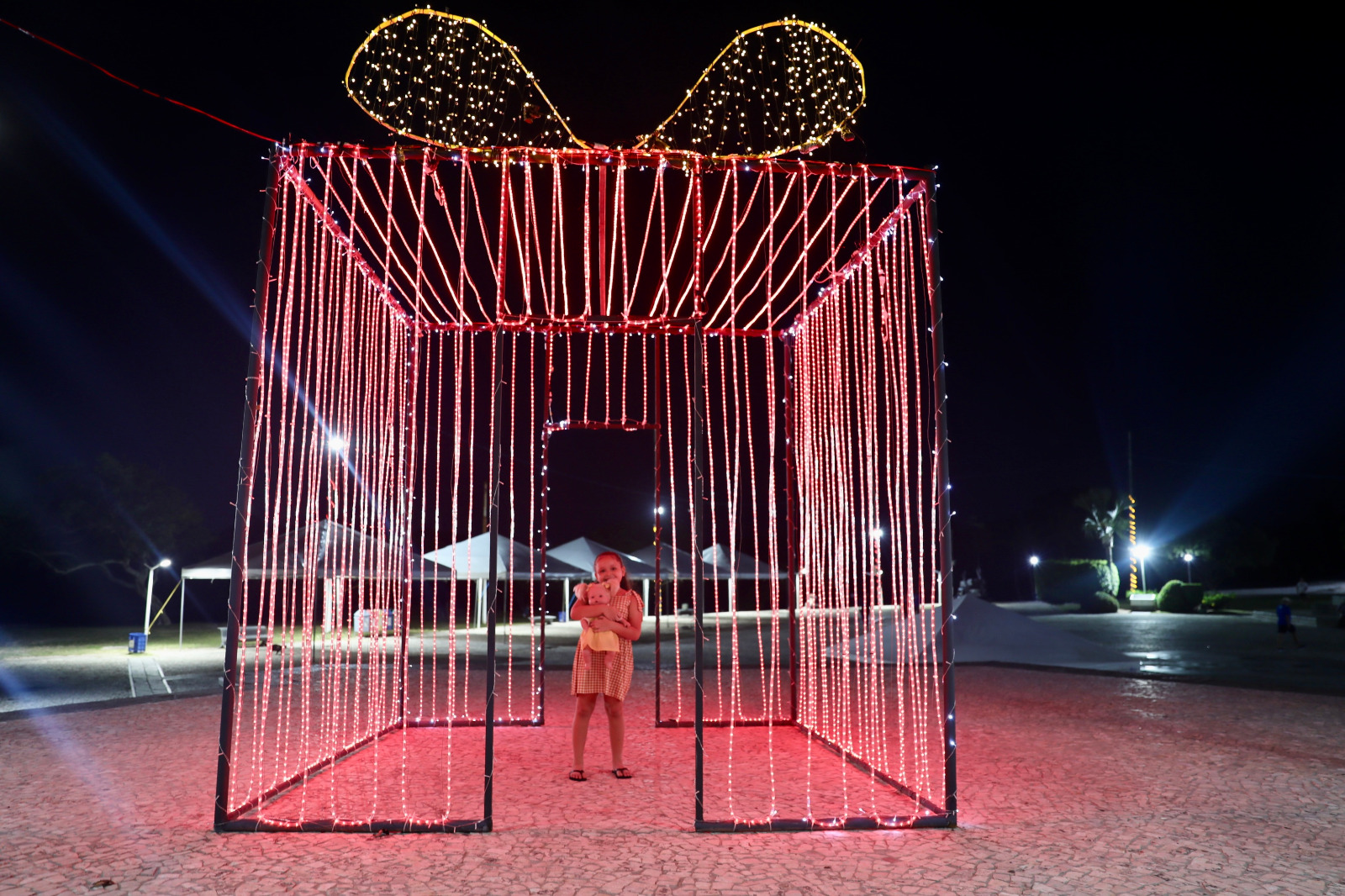 Natureza, lazer e conservação: Parque do Abaeté celebra o Natal com ornamentação sustentável