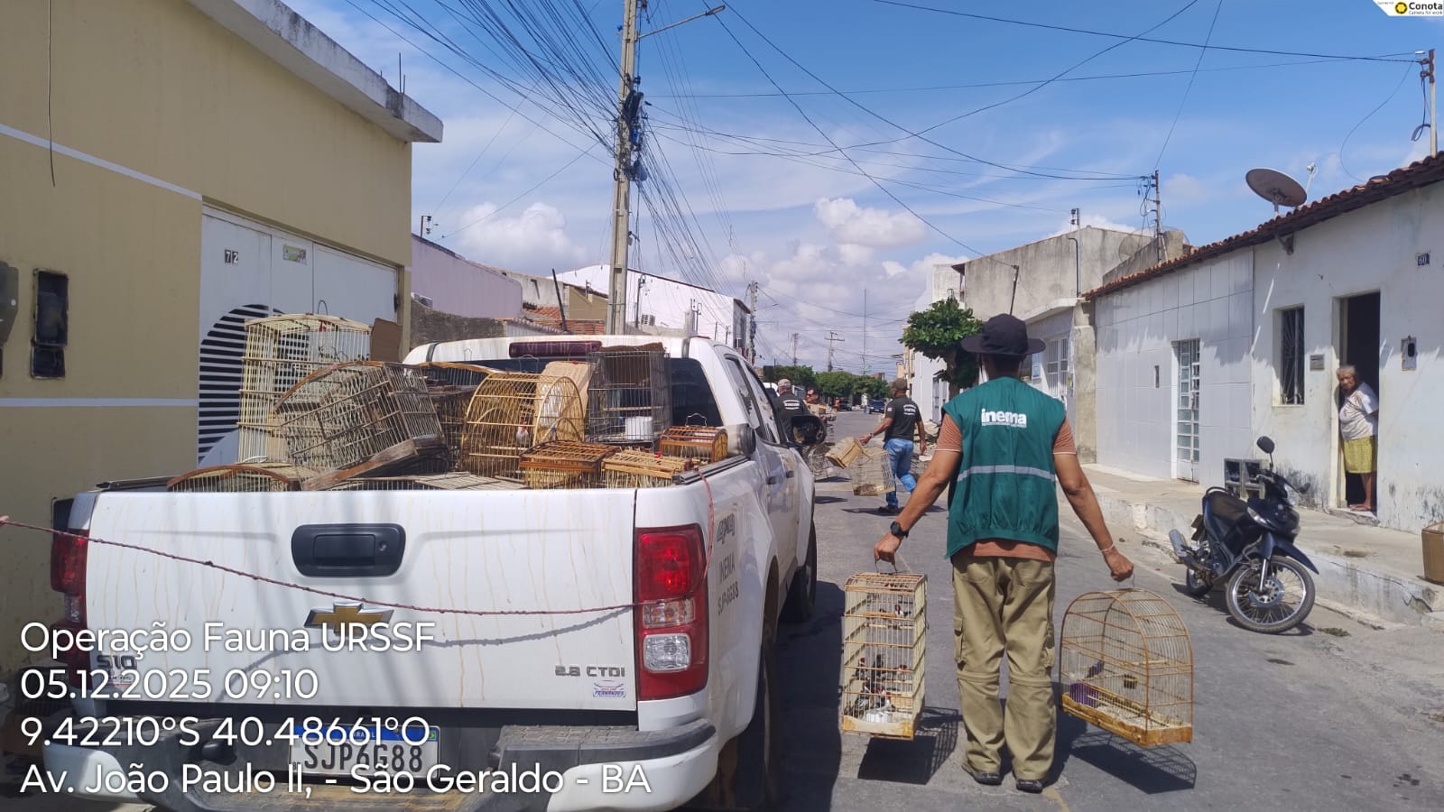 Fiscalização Juazeiro