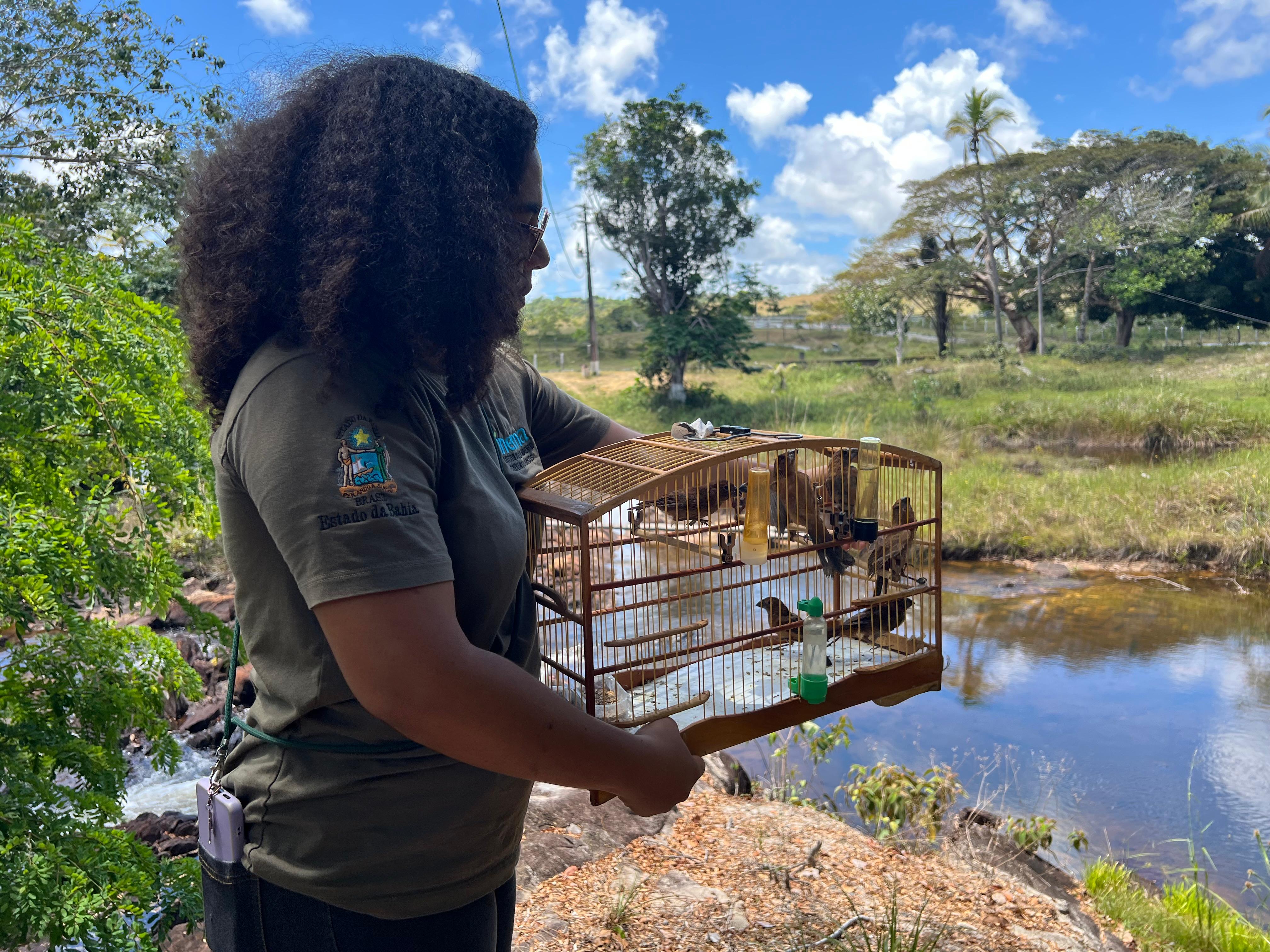 Ações de reabilitação do CETAS garante retorno de mais de 15 animais silvestres ao habitat natural 