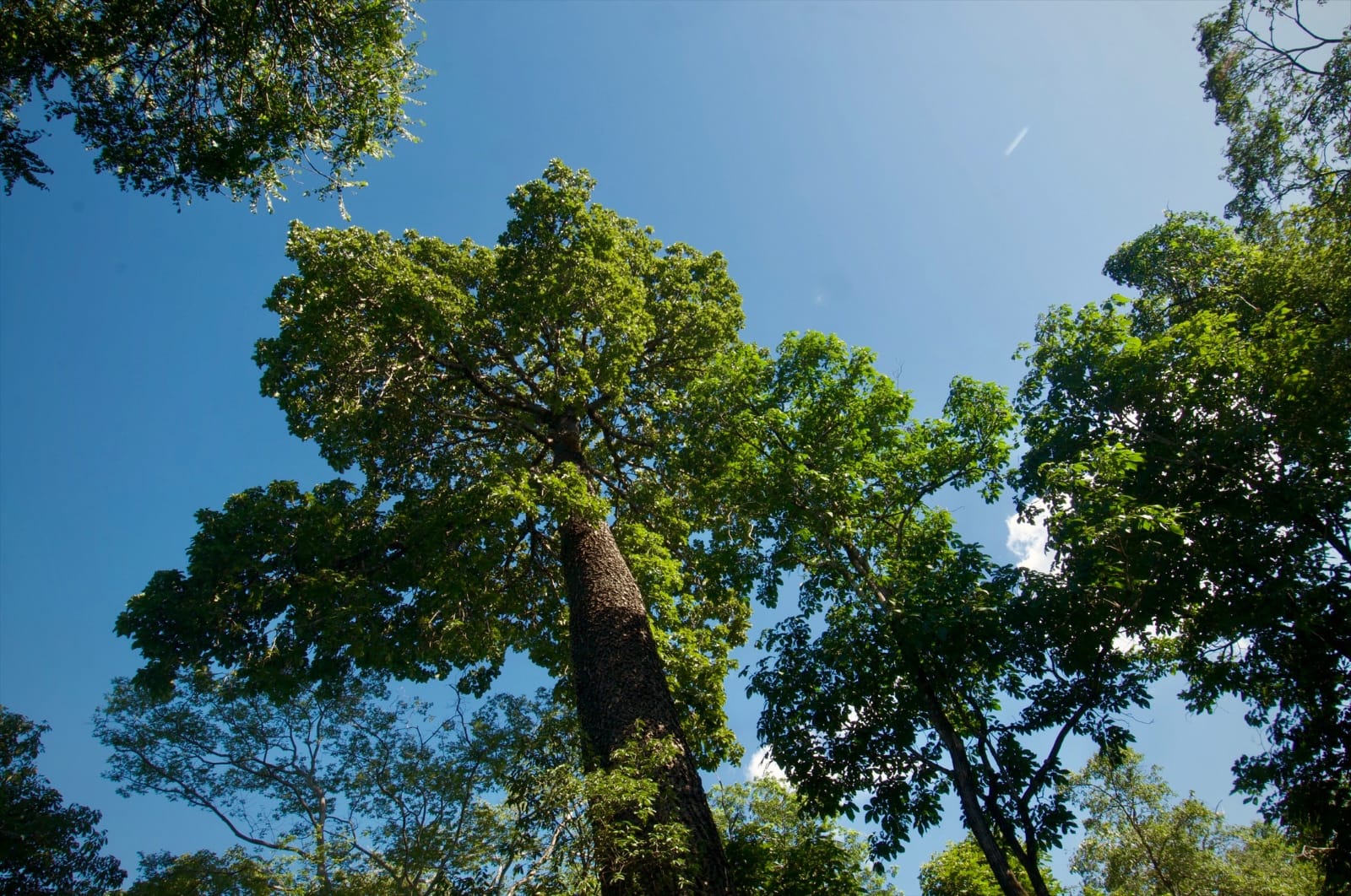 Dia nacional das RPPNS
