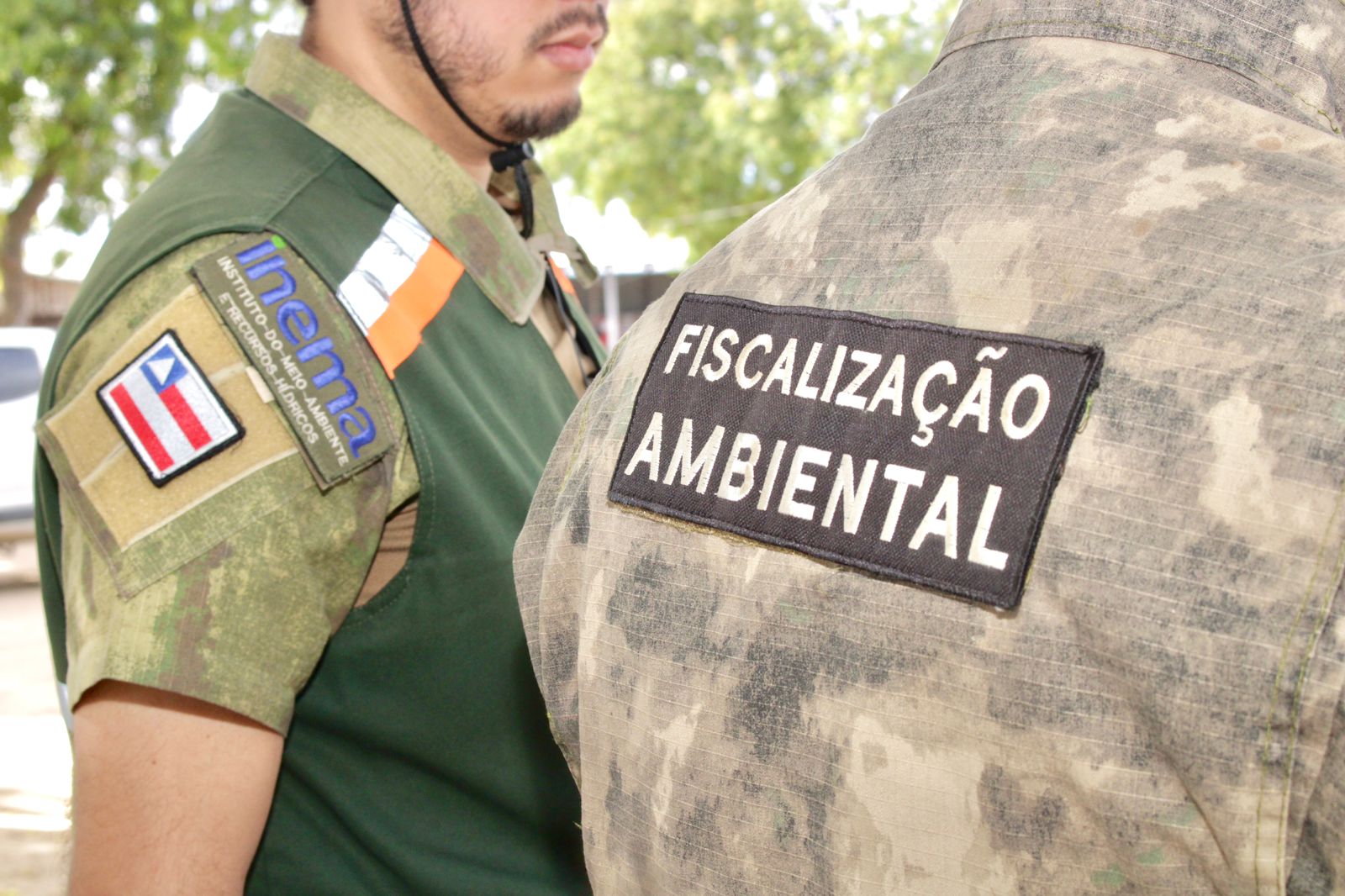 Atuação do Inema intensifica combate ao desmatamento e infrações ambientais