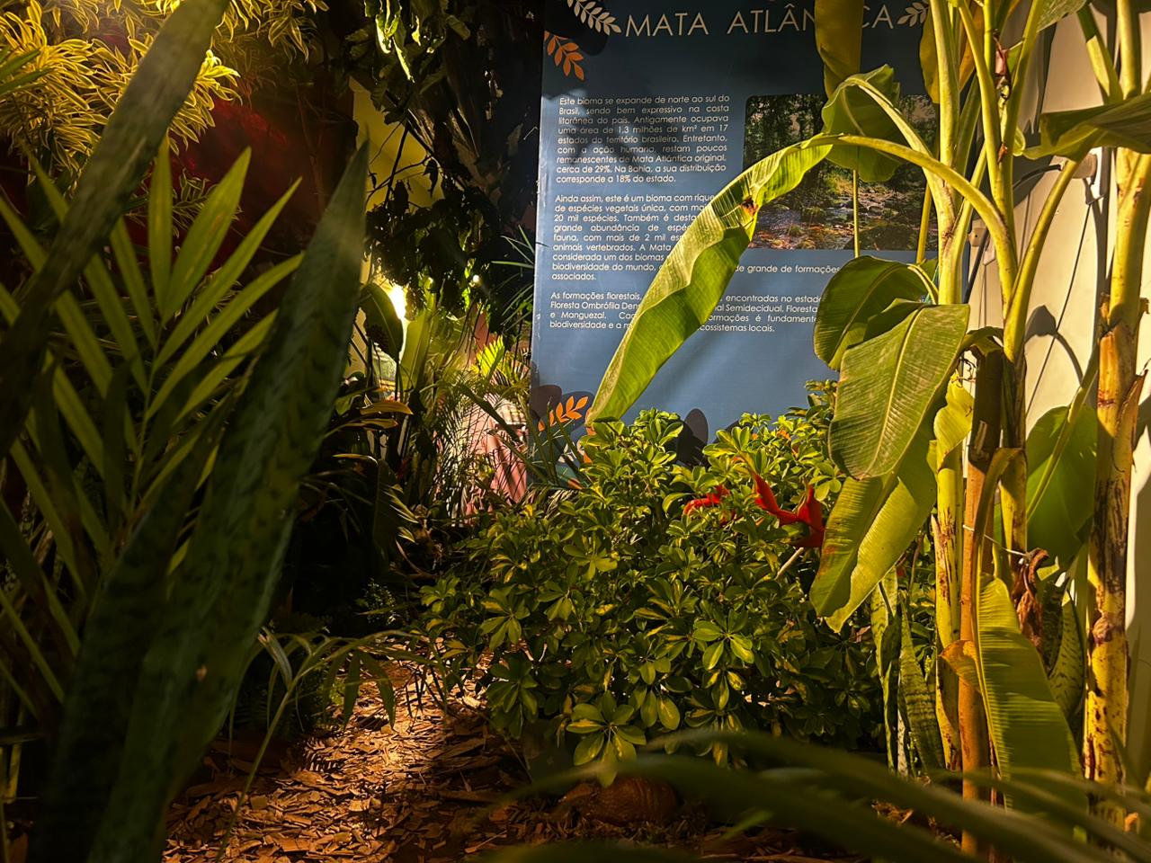 Projeto “Férias é no Zoo” oferece programação educativa e ambiental no fim das férias escolares
