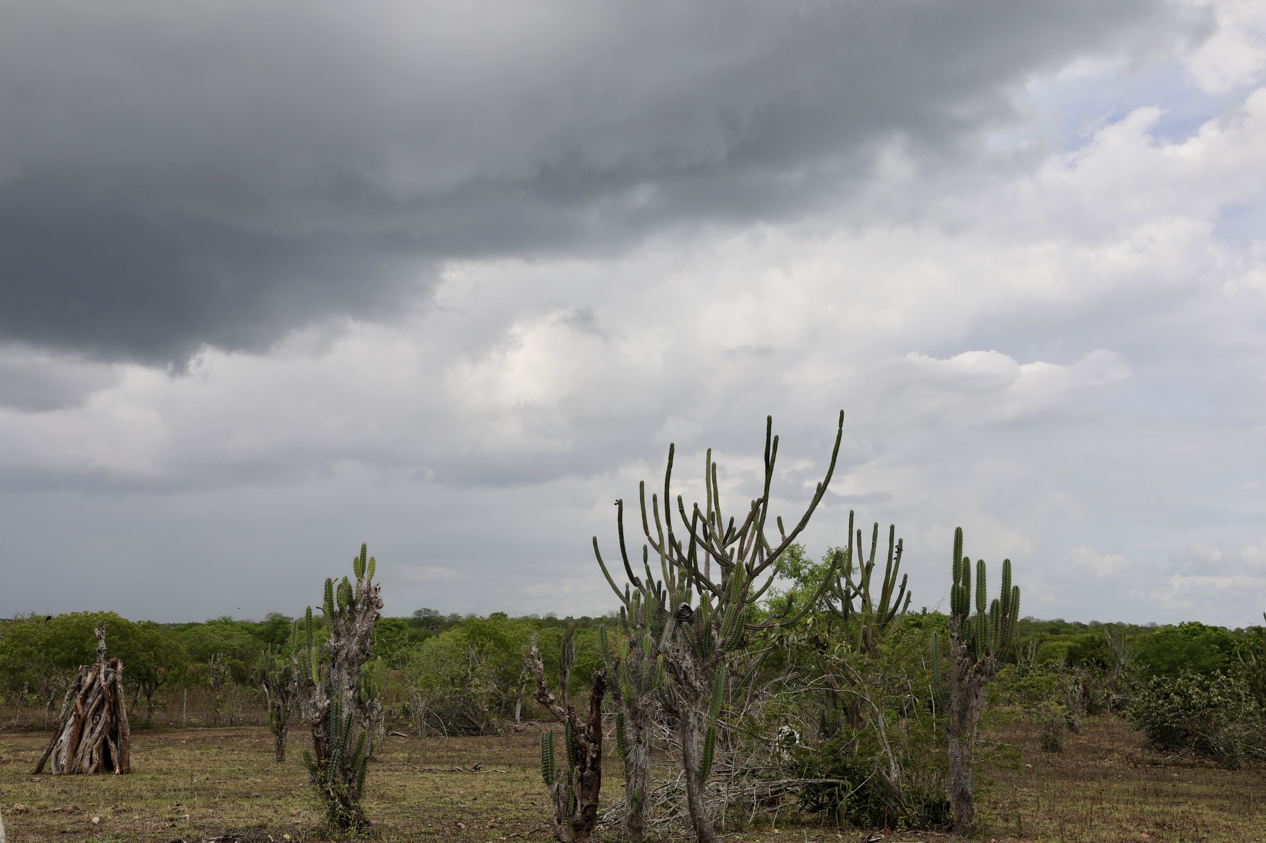 Previsão do Tempo: Fim de Semana será de sol no Litoral e pancadas de chuva em regiões do interior baiano