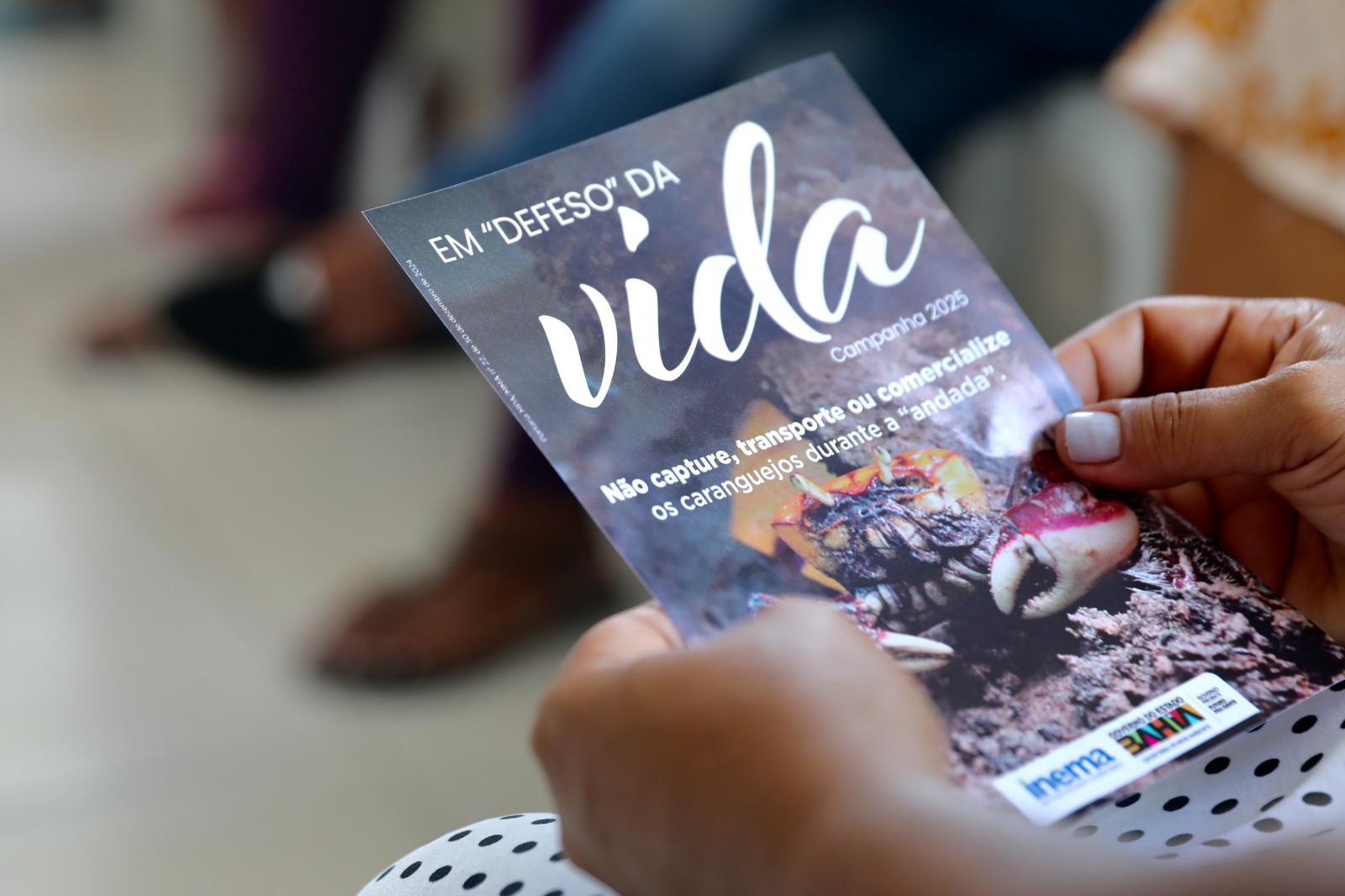 Defeso do caranguejo-uçá protege reprodução da espécie durante a “andada”