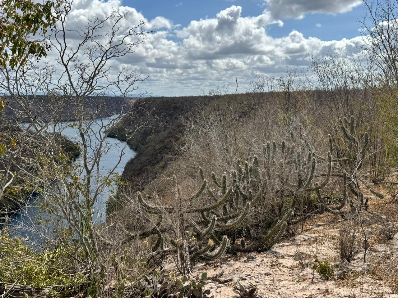 Turismo ecológico: aliado estratégico da conservação ambiental na Bahia