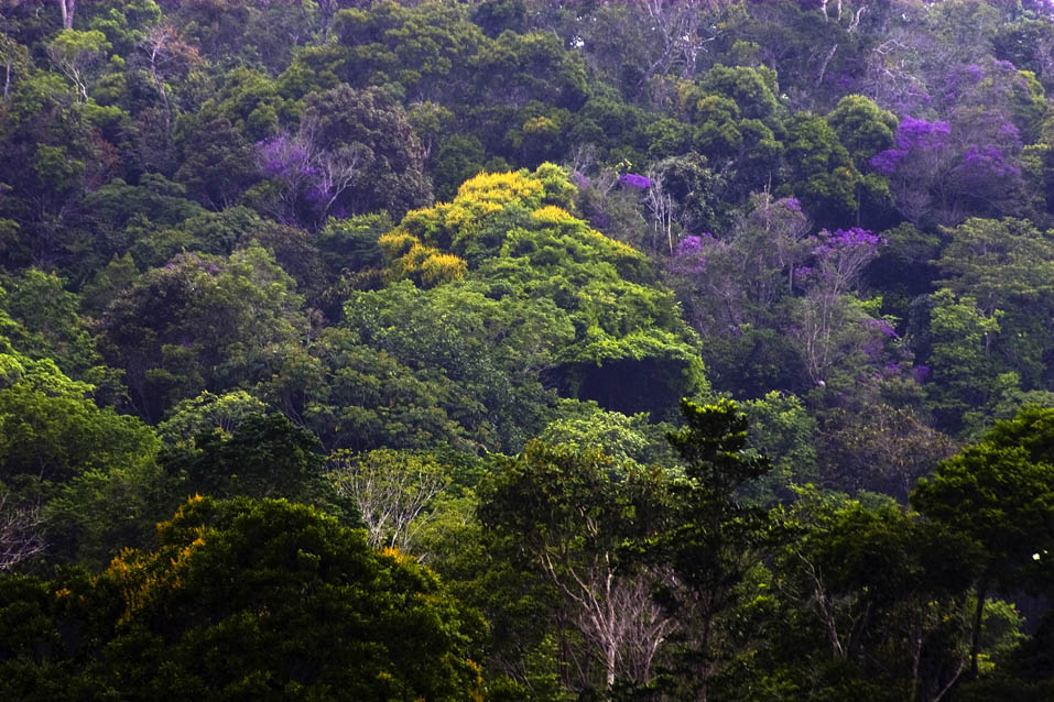 PESC - Acervo Sema/Inema