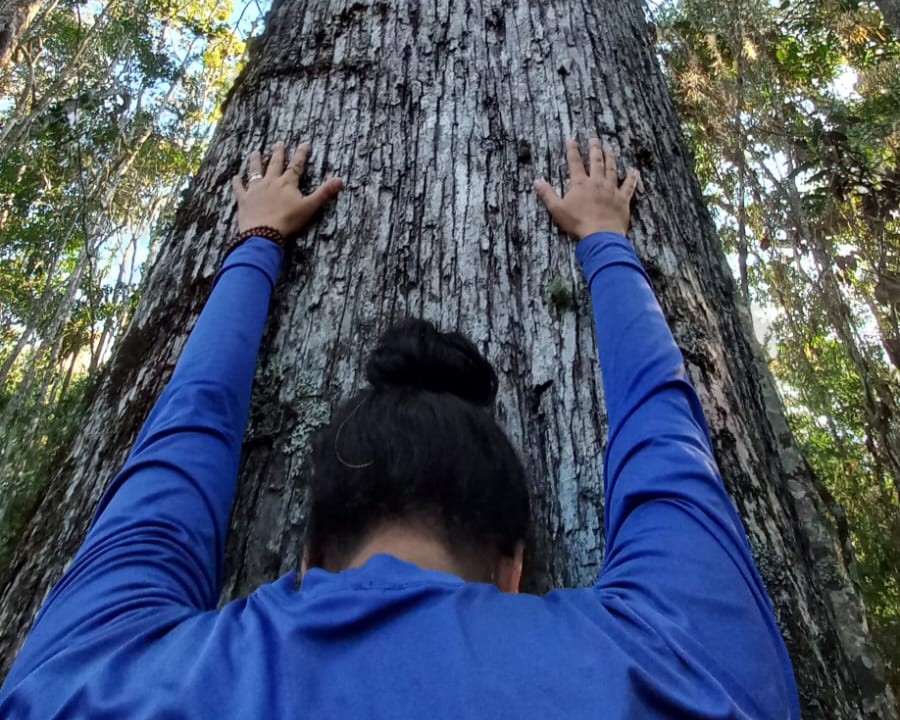 CERBMA-BA realiza primeira reunião em 2026 e define agenda estratégica