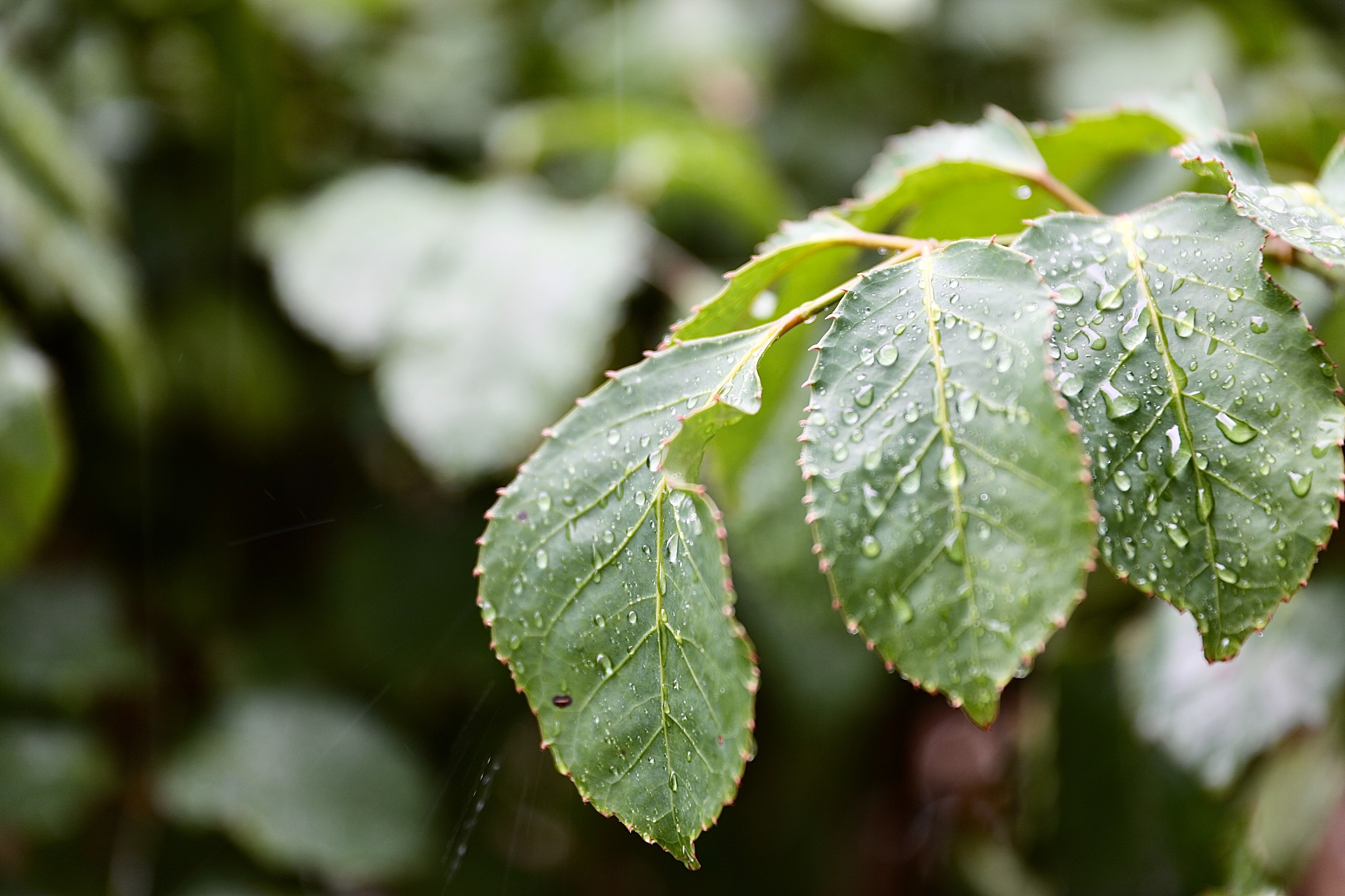 Previsão do tempo: Fim de semana terá sol, chuvas e aumento de instabilidades em toda a Bahia