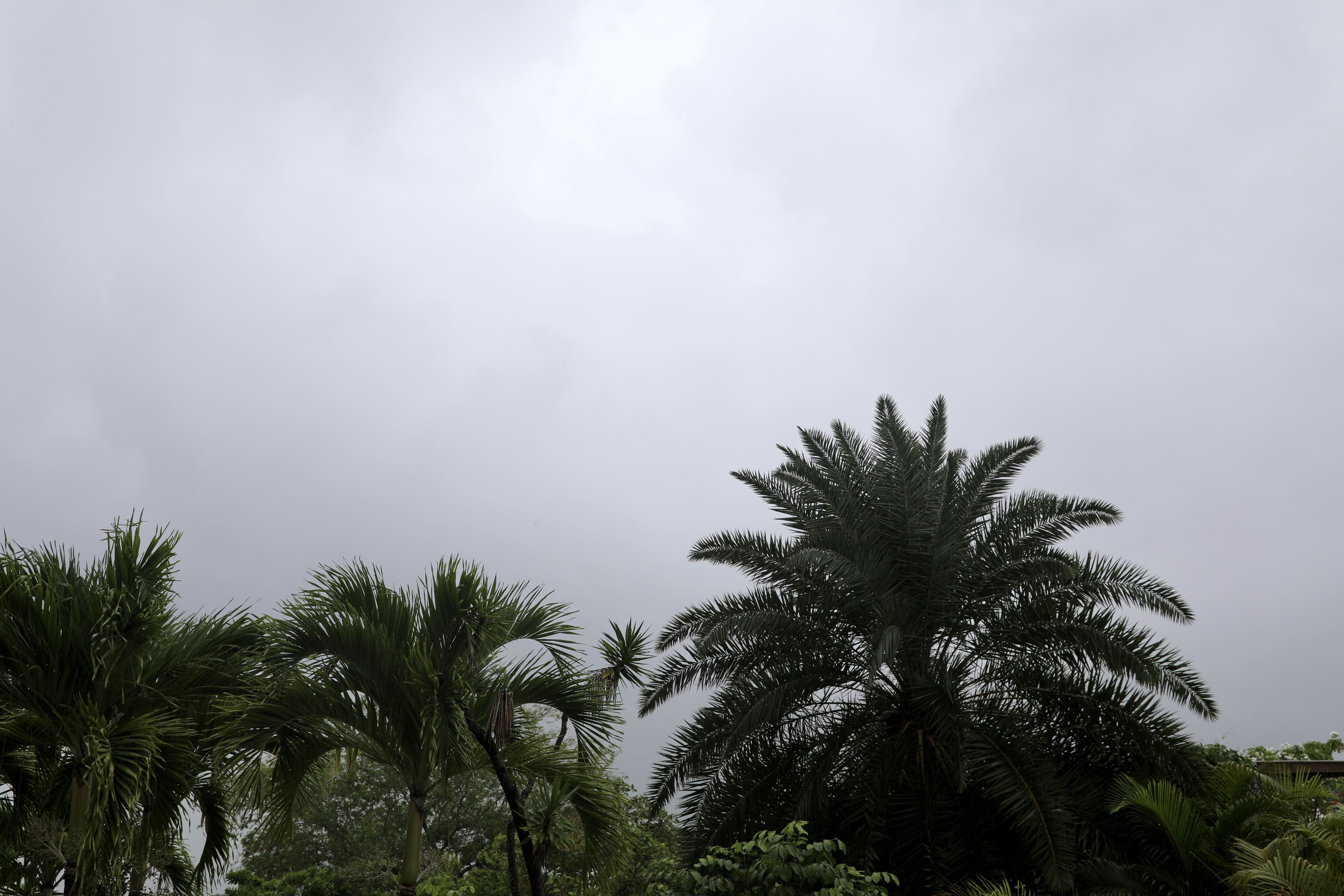 Recôncavo e litoral baiano seguem em atenção com risco de alagamentos e deslizamentos, alerta Inema