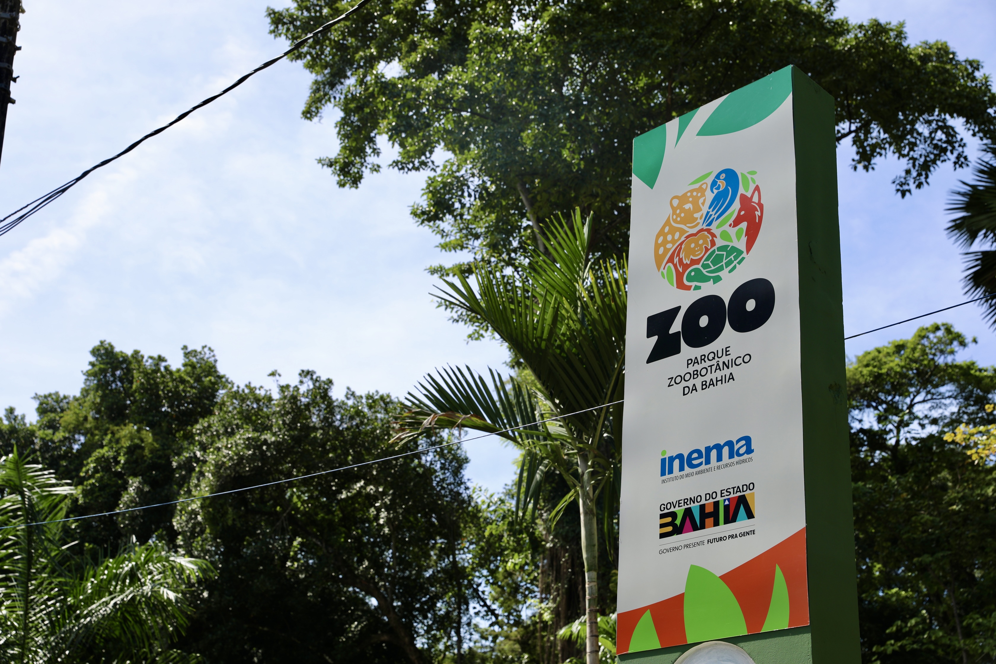 Animais do Parque Zoobotânico da Bahia ganham “Ovozoo de Páscoa” em semana especial de enriquecimento ambiental