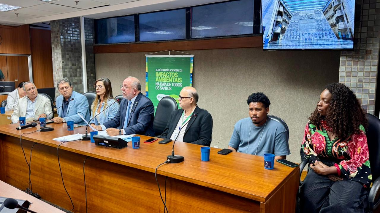 Inema participa de audiência pública na ALBA sobre impactos ambientais na BTS