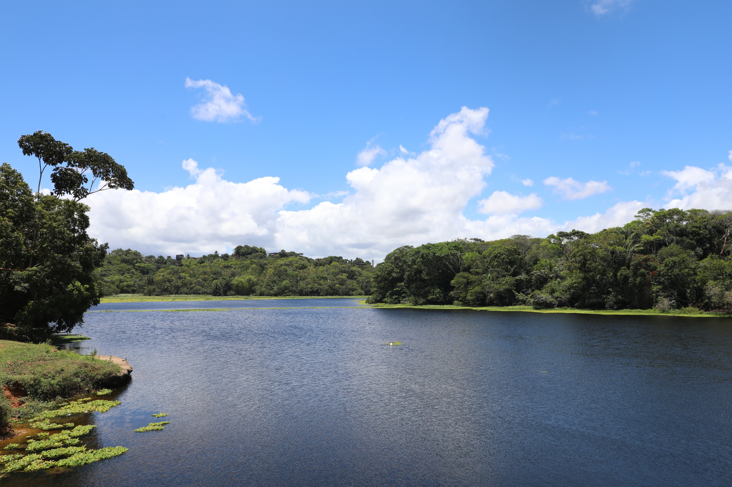 Semana do Meio Ambiente reúne marcos históricos da conservação ambiental na Bahia