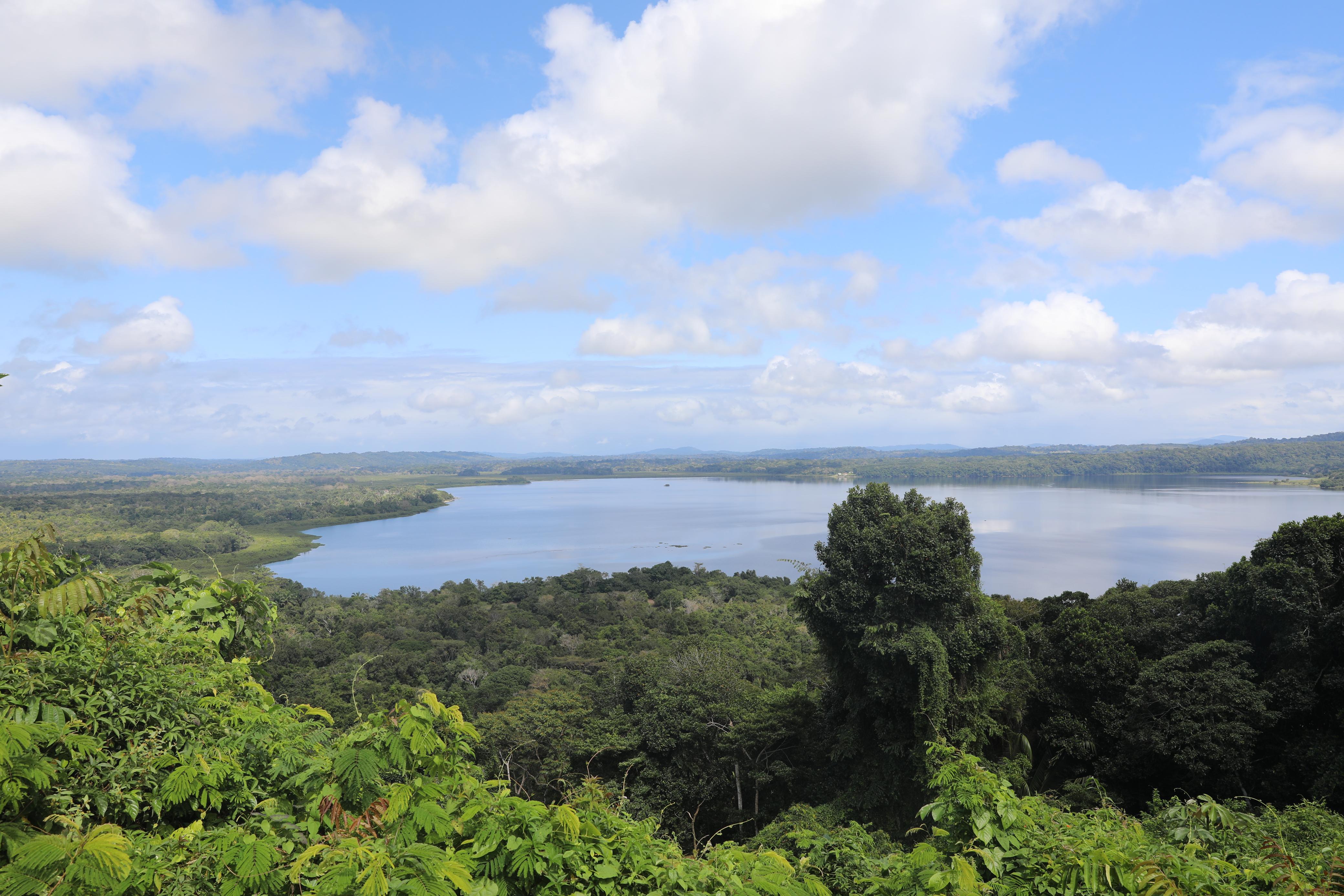 TCSA Porto Sul lança chamada de R$ 4 milhões para recomposição vegetal no Sul da Bahia