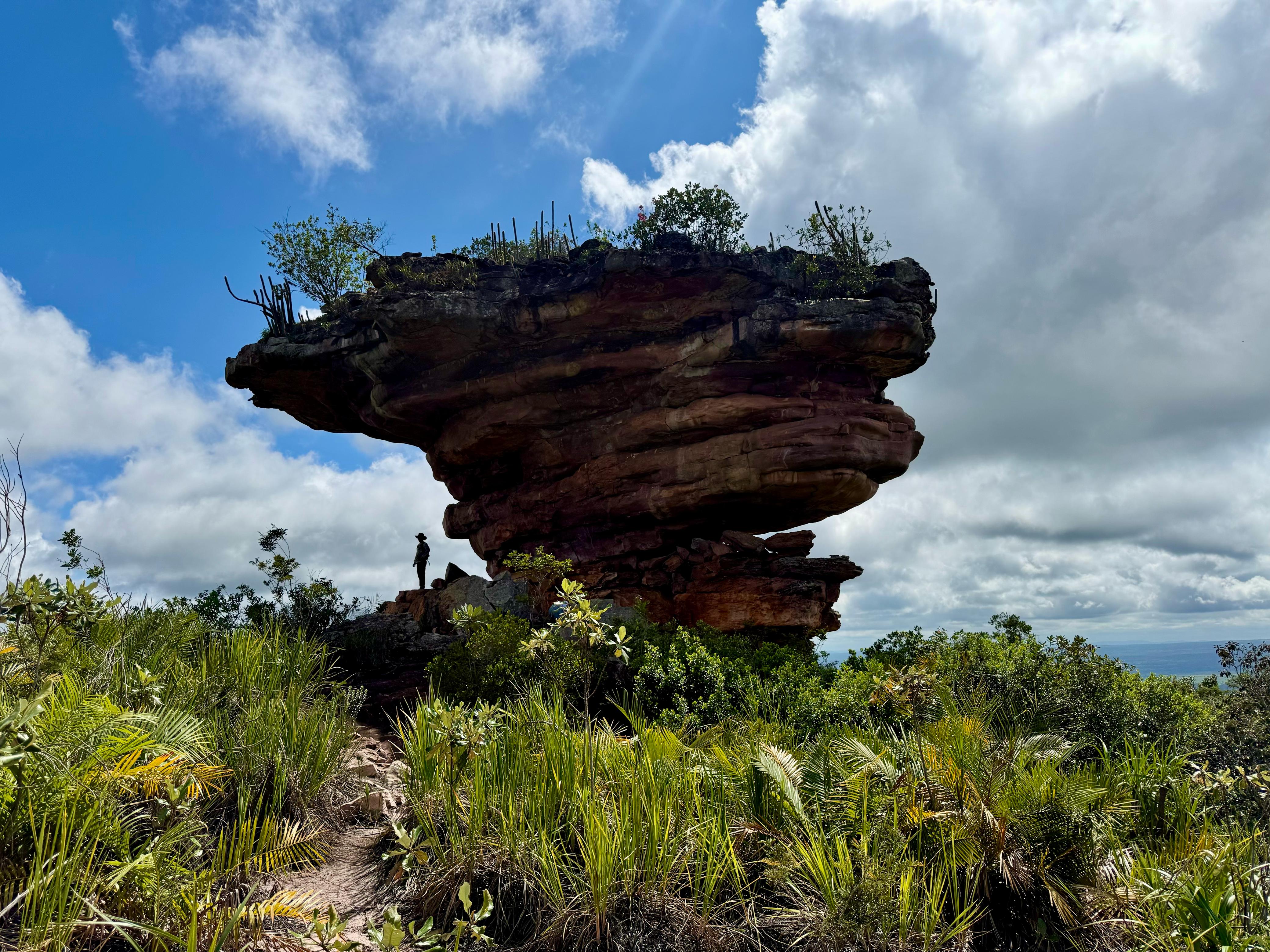 Refúgio de Vida Silvestre Serra da Chapadinha é criado